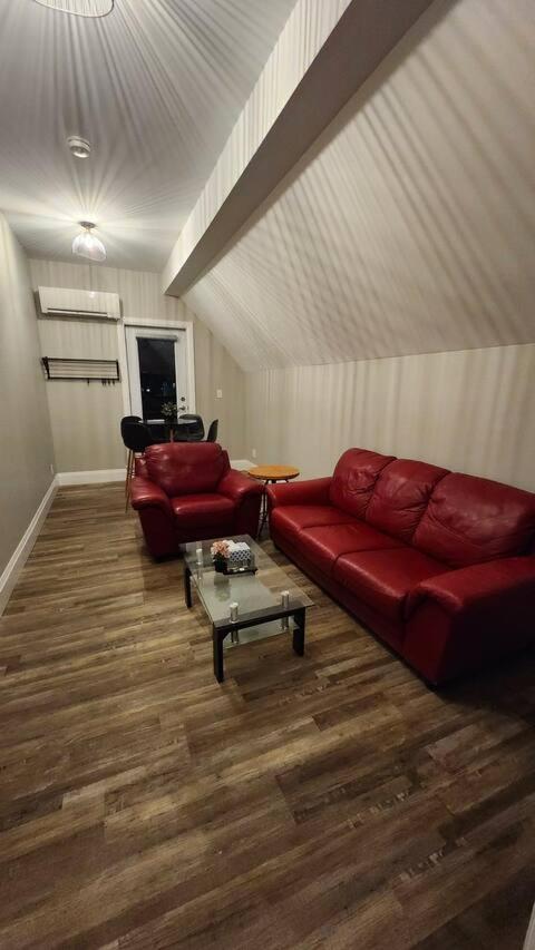 Entire 1 Bedroom Apartment Across From Google - Br5 Kitchener Buitenkant foto